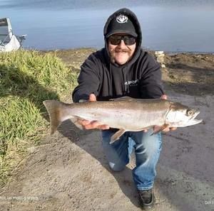 Meet your Posher, Joey